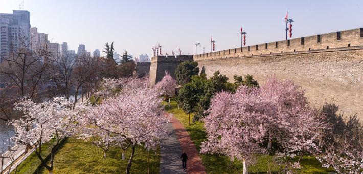 陕西西安：明城墙下春意盎然