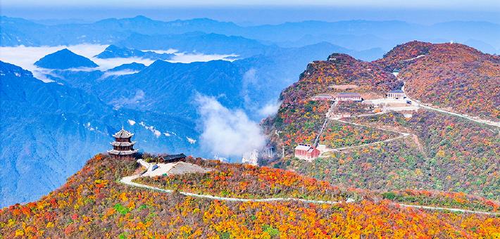 龙头山：千枝万叶披霞锦