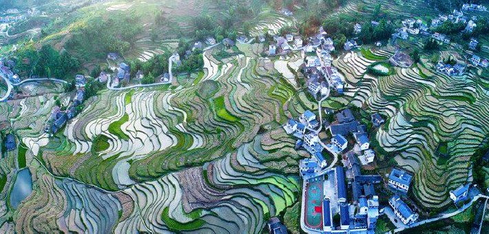 汉阴凤堰梯田春景如画