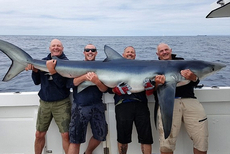 垂钓者英海域捕获228斤重蓝鲨 破58年来纪录