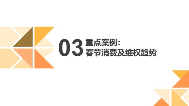 黑猫消费者权益保护白皮书:透视消费维权状况