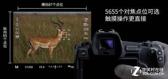 5655个对焦点,你还需要先对焦后构图吗?!