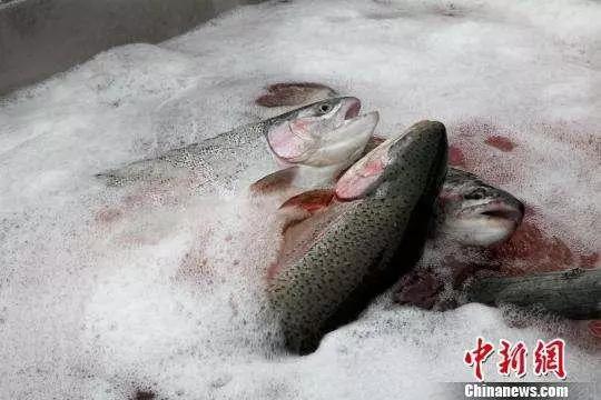 说到底,这一次的舆情暴发,是因为消费者的知情权被无情践踏。