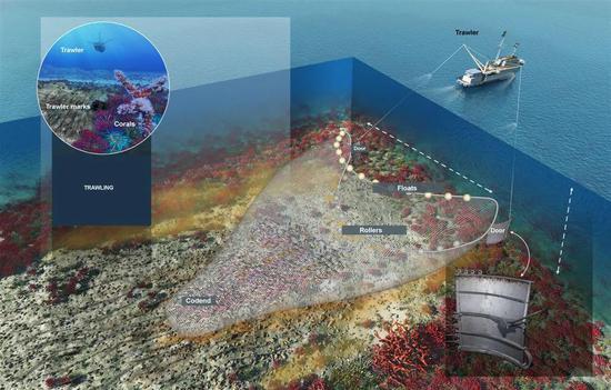 拖网式捕捞 图片来源:eu.oceana.org