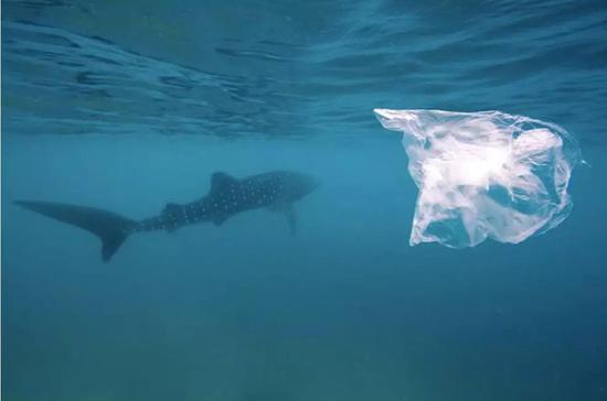 https://www.newsdeeply.com/oceans/articles/2017/10/09/report-microplastic-can-penetrate-fishs-brains-altering-behavior
