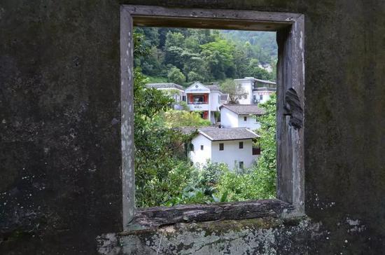 似乎离我们越来越远的乡村,有些东西腐肉未清,有些东西正在新生。/unsplash