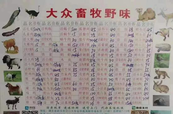 华南海鲜市场卖的野味,海鲜市场不卖海鲜,卖什么野生动物啊?!