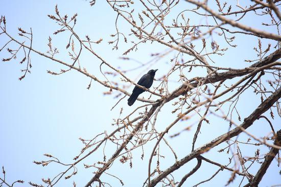 焦距:400mm 光圈:f/6.3 ISO感光度:400