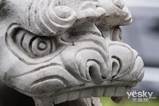 100%放大图