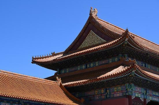 尼康Z7实拍样片
