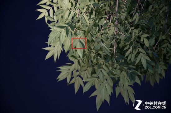 尼康防抖实拍效果展示,使用Z卡口24-70mm镜头70mm