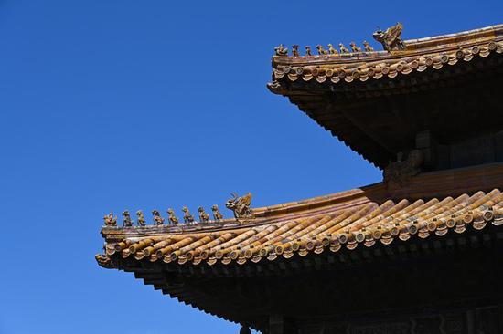 尼康Z7实拍样片