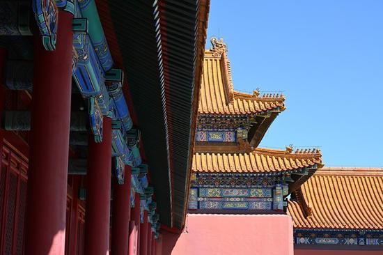 尼康Z7实拍样片