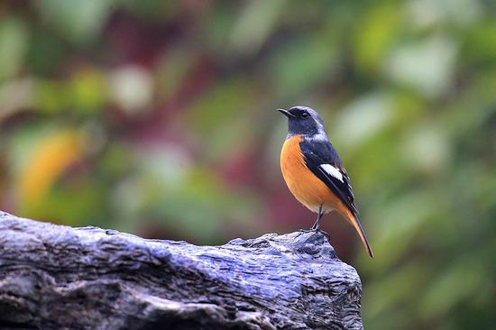 F6.3 1/800s ISO4000