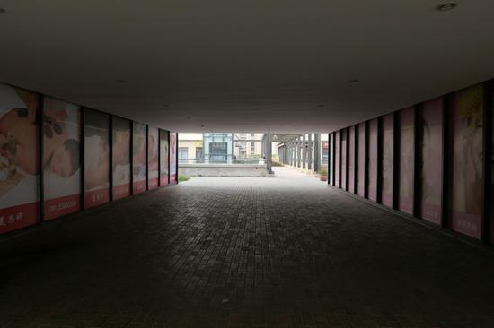 焦距:11mm 光圈:f/5.0 ISO感光度:200