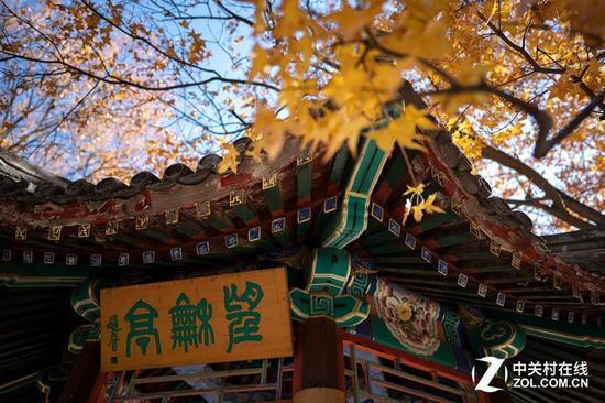 索尼FE 24mm F1.4 GM镜头样张
