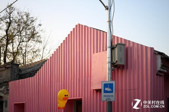 尼康Z6实拍样片