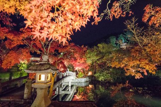 腾龙SP 15-30mm F/2.8 Di VC USD G2+EOS 5D Mark IV