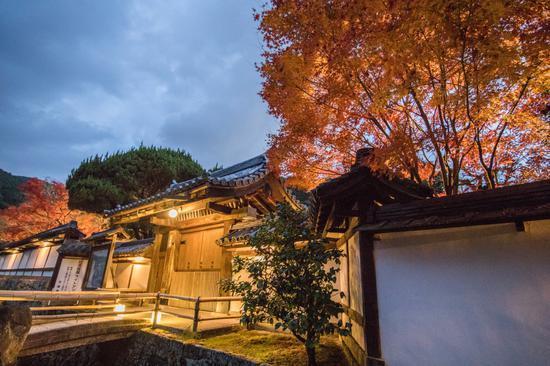 腾龙SP 15-30mm F/2.8 Di VC USD G2+EOS 5D Mark IV