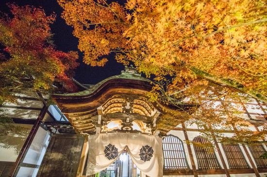 腾龙SP 15-30mm F/2.8 Di VC USD G2+EOS 5D Mark IV