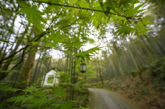 焦距:14mm ISO:280 光圈:F4 快门:1/160s