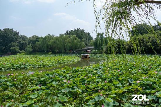 25mm广角端拍摄:游船正在荷花池中游荡
