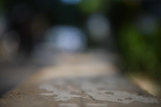 腾龙SP 35mm F1.4 Di USD镜头在f/1.4下的虚化表现
