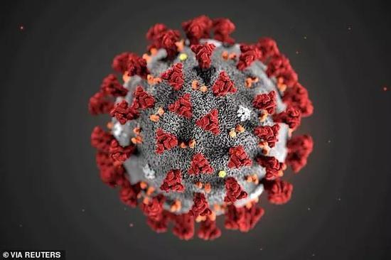 图片说明:Pictured, an illustration of the SARS-CoV-2 virus released by the US Centers for Disease Control and Prevention