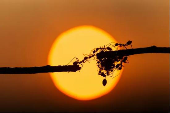 来源:Freepik.com