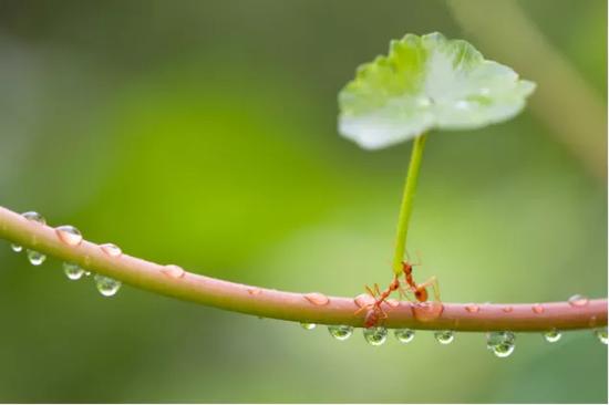 来源:Freepik.com