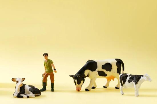 牛奶中的固体含量跟奶牛的营养状况关系很大|图虫创意