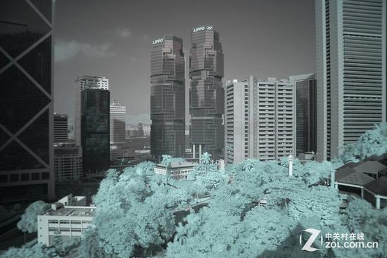 红外滤镜拍摄效果