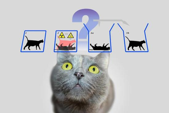 薛定谔的猫 | Pixabay.com