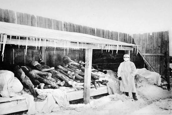 存放在仓库中的鼠疫患者的尸体 拍摄者:不详 拍摄时间:1910年~1911年 来源:中国摄影史图片库