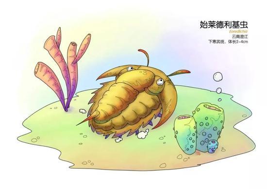 (图片来源:谭超)