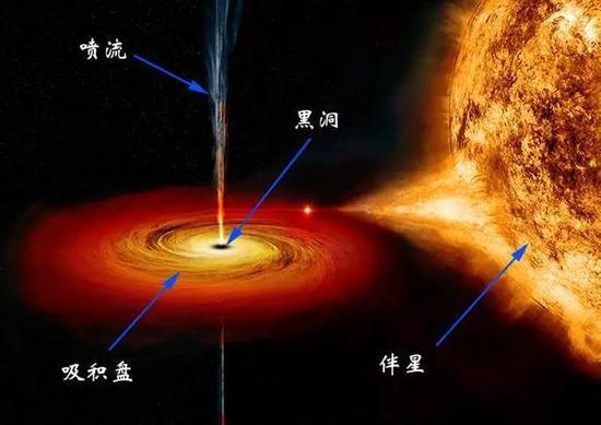 图10 黑洞吞噬恒星的艺术假想图(NASA/CXC/M.Weiss)