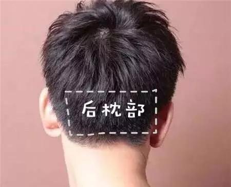 (底图来源:https://www.fengdu100.com/news/201801/77704_2.html)