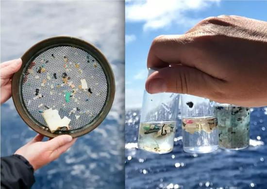科学家们在他们访问的海洋的每一个地方都发现了塑料和微塑料 | 图片来源:eXXpedition / Lark Rise Pictures