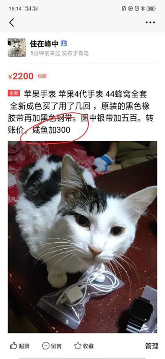 李平在闲鱼平台上看到一家名为“佳在峰中”的青岛卖家正在出售一款二手Apple watch4,标价为2200元。 本文图均为 受访者供图