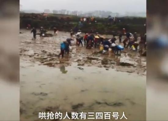 “捡漏”的遮羞布要多大,才遮得住几百人的明抢?/梨视频