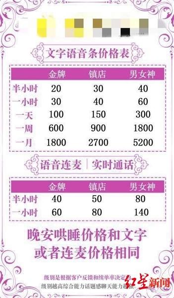 “虚拟恋人”价格表
