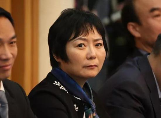 龙湖集团董事会主席吴亚军