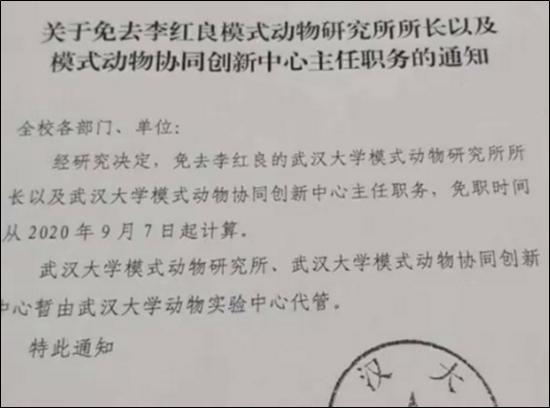 图片来源:梨视频