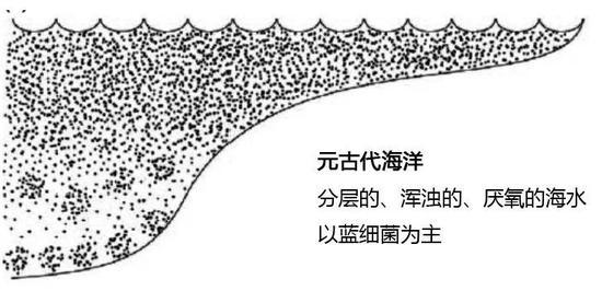 元古代海洋示意图(图片来源:南京古生物所)