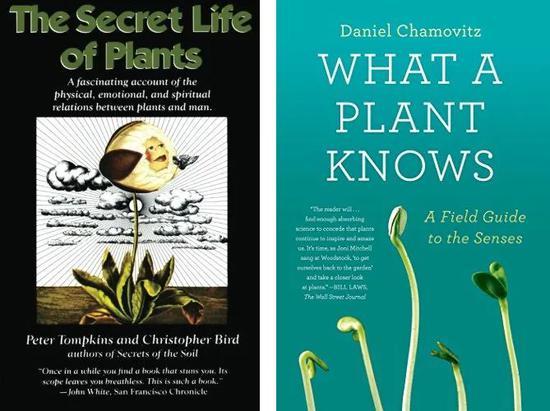 The Secret Life of Plants(左)& What a Plant Knows(右)英文版封面。| 图片来源:Amazon