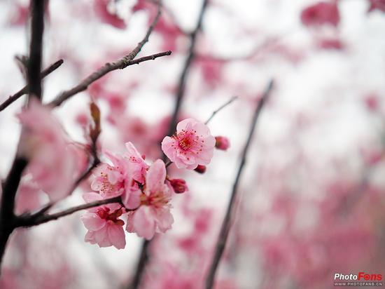 焦距:17mm ISO:200 光圈:F1.2 快门:1/1250s