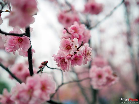 焦距:17mm ISO:200 光圈:F1.2 快门:1/1000s
