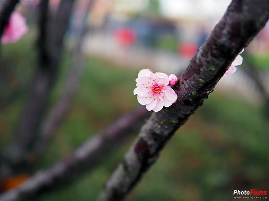 焦距:17mm ISO:200 光圈:F1.2 快门:1/250s