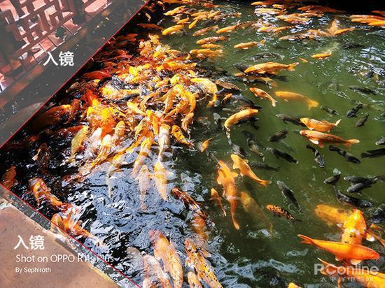手机的广角容易把其它不需要的东西拍进去