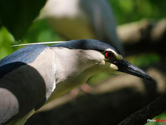 焦距: 300mm ISO:500 光圈:F5.6 快门:1/640s